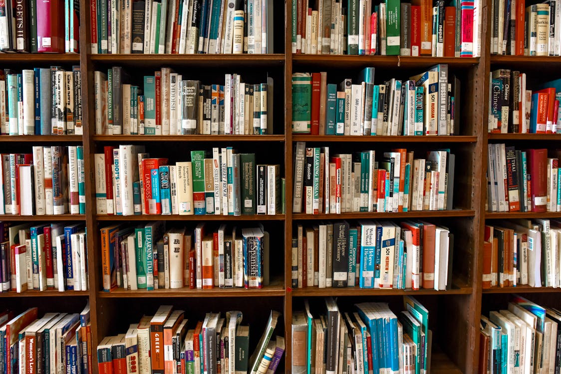 Exploring Books on Content Marketing for Long-Term Brand Success