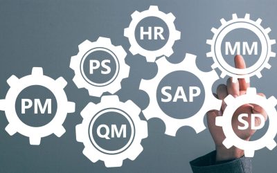 SAP Course