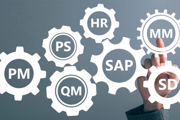 SAP Course